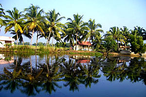 Backwaters and Beaches Tour