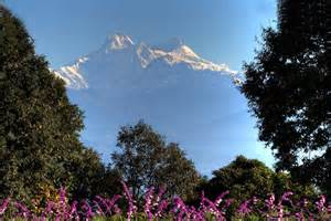 Uttarakhand Scenic Tour