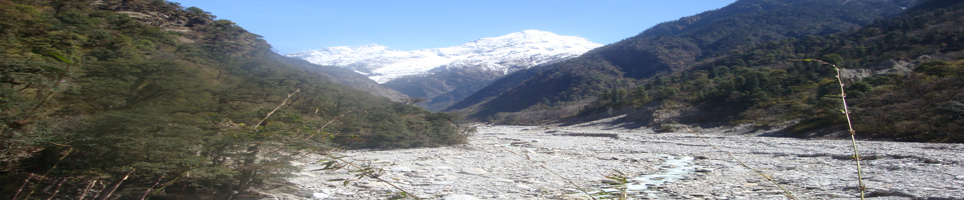 innerbanner
